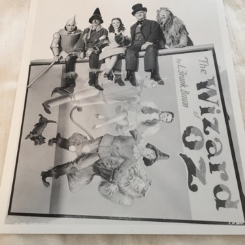 Wizard of Oz Deluxe VHS Edition (NWOT) - Picture 9 of 12